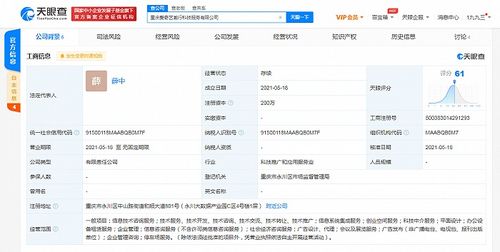 愛奇藝在重慶成立科技公司，拓展創(chuàng)業(yè)空間與信息系統(tǒng)集成服務(wù)