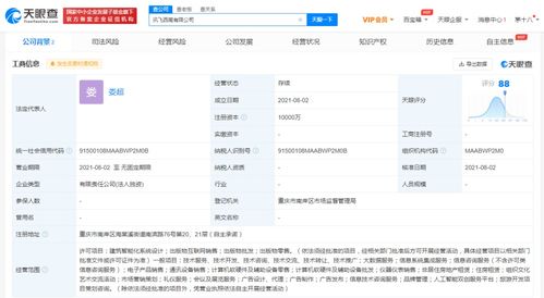 信息系統集成服務的全面解析