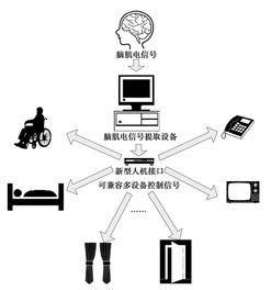 腦肌電多設備集成系統的接口硬件設計與信息系統集成服務